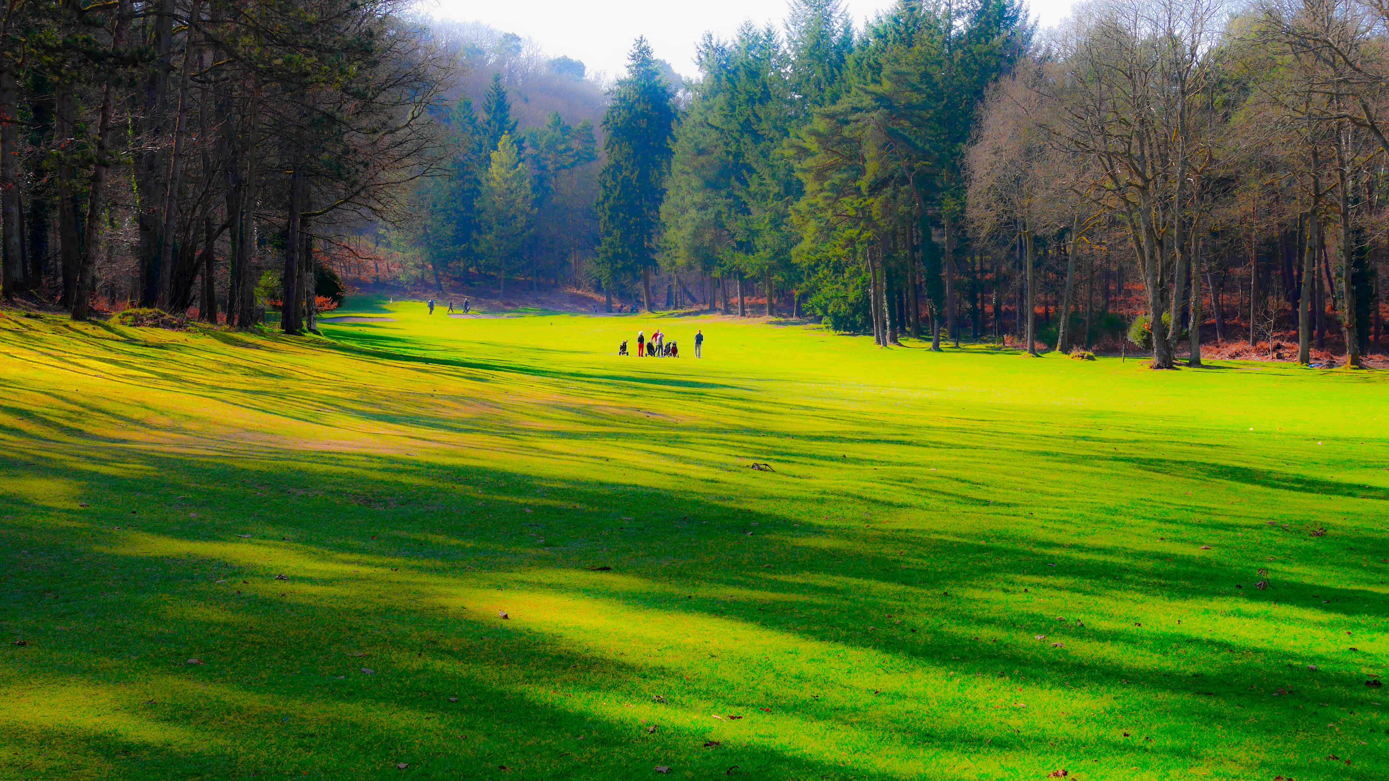 Golf%20de%20Rochefort%20coupe%20de%20la%20Galette_ 14