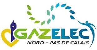 Logo%20Gazelec%20NPDC.jpeg