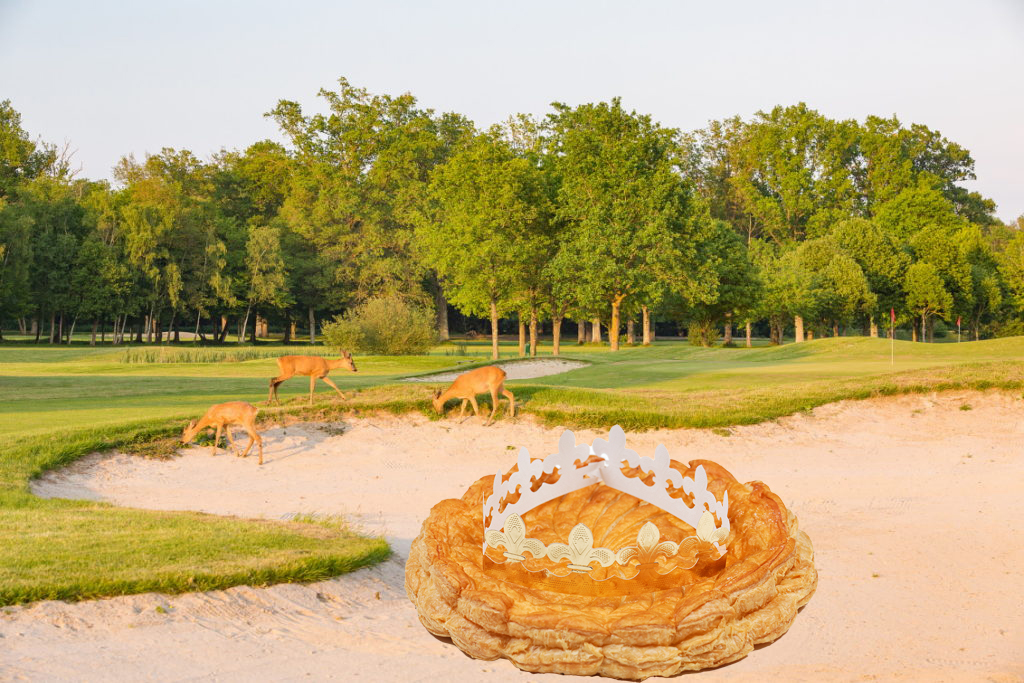 Golf%20des%20Yvelines Chevreuils%20copie