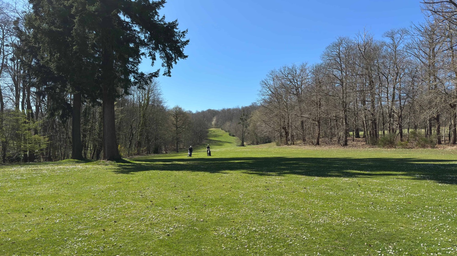 IMG_6367rfst 1?timestamp=4472