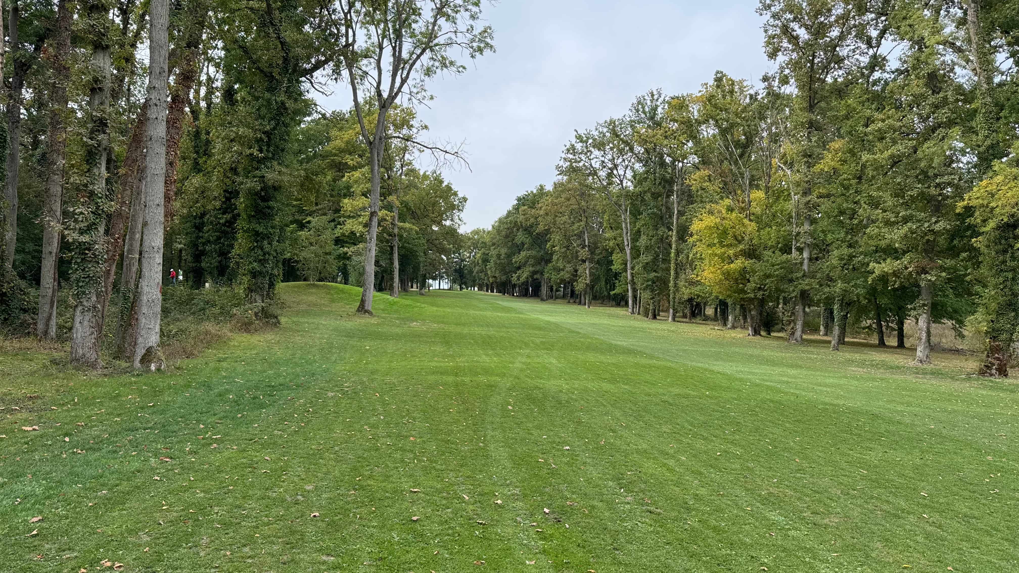 RFST%20Finale%202025_7893