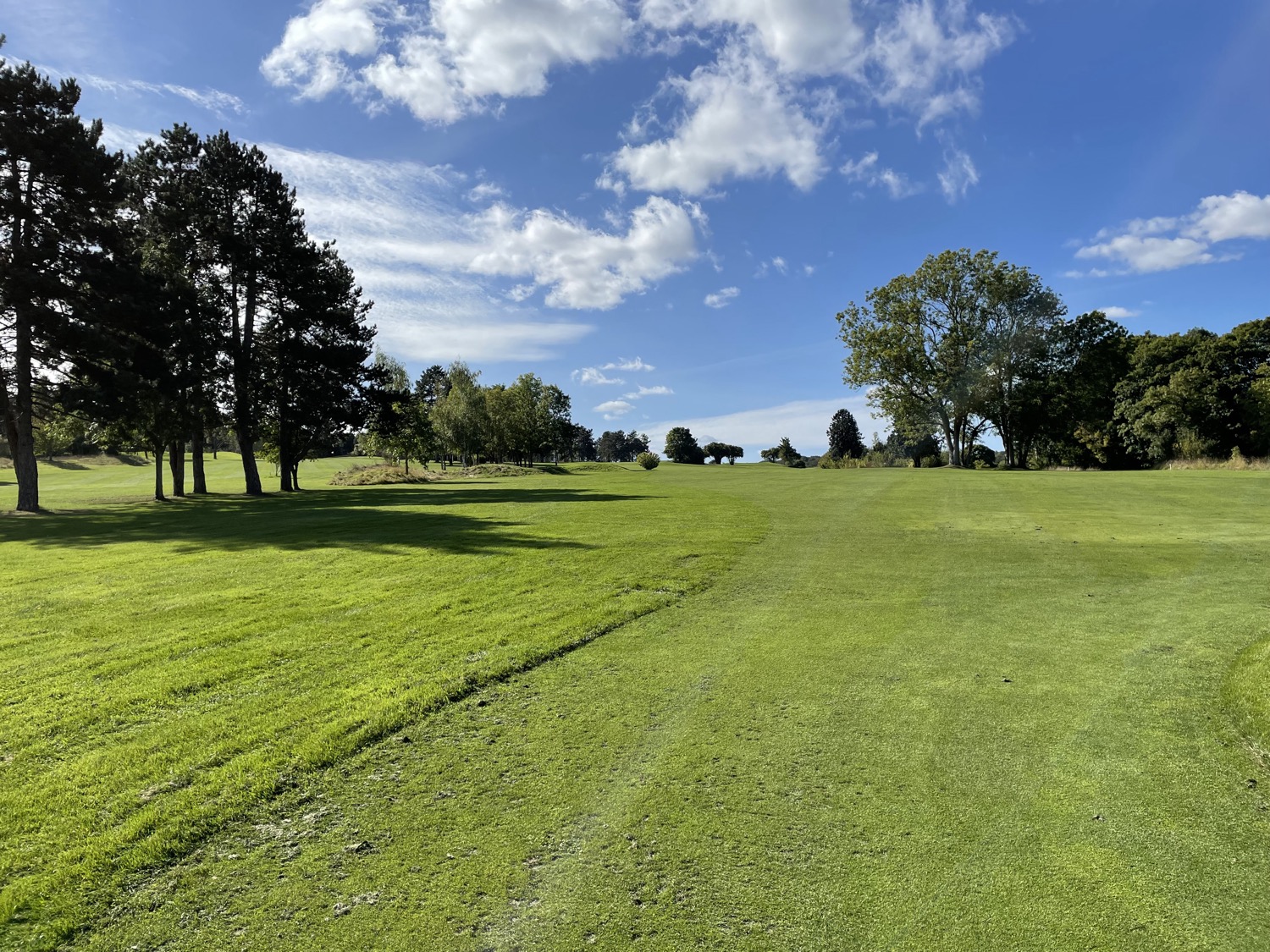 RFST%20seraincourt 2.jpeg