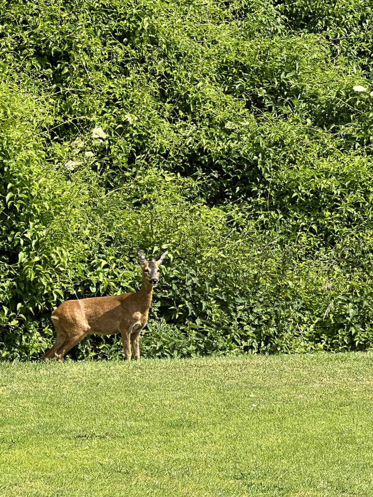 TRT2 2025 Ableiges 00014.jpeg